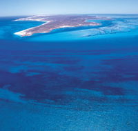Dirk Hartog Island - Palm Beach Accommodation