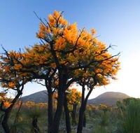 Cape Le Grand National Park - Palm Beach Accommodation