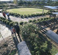 Kojonup Rose Maze - Palm Beach Accommodation