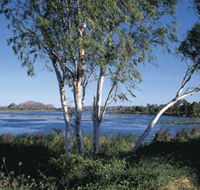 Celebrity Tree Park - Palm Beach Accommodation