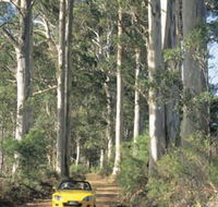 Mount Shadforth Scenic Drive - Palm Beach Accommodation
