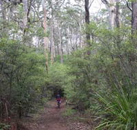 Margaret River Rails Trail - Palm Beach Accommodation