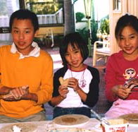 Peel Pottery - Palm Beach Accommodation