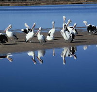 Peel Region Canoe Trails - Palm Beach Accommodation