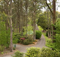 Mount Lofty Botanic Garden - Palm Beach Accommodation