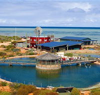 Ocean Park Aquarium - Palm Beach Accommodation