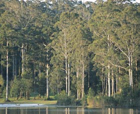 Big Brook Dam - Palm Beach Accommodation 0