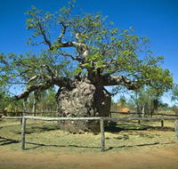 Pigeon Heritage Trail - Palm Beach Accommodation