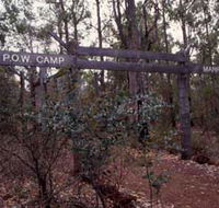 Marrinup Trail Dwellingup - Palm Beach Accommodation