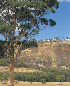 Dangin WA Palm Beach Accommodation