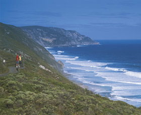 Sandpatch - Palm Beach Accommodation 0