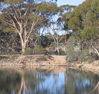 Merredin Railway Dam - Palm Beach Accommodation