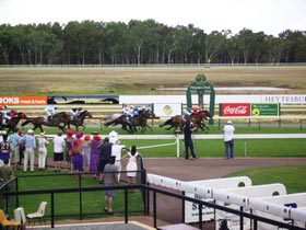 Pinjarra Race Club - Palm Beach Accommodation 0