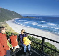 Conspicuous Beach - Palm Beach Accommodation