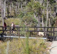 Forest Path Crooked Brook - Palm Beach Accommodation