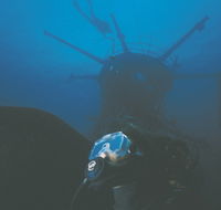 Swan Dive Wreck - Palm Beach Accommodation