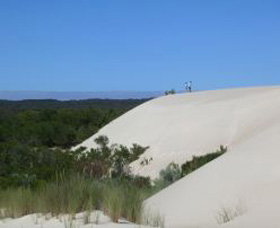 Yeagerup Sand Dunes - Palm Beach Accommodation 0