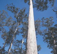 The Four Aces - Palm Beach Accommodation