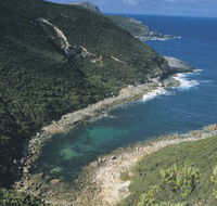 Jimmy Newells Harbour - Palm Beach Accommodation