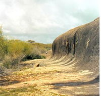 Totadgin Dam Reserve - Palm Beach Accommodation