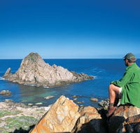 Sugarloaf Rock - Palm Beach Accommodation