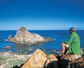 Sugarloaf Rock - Palm Beach Accommodation 0