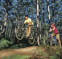 Leeuwin-Naturaliste National Park - Cowaramup - Palm Beach Accommodation