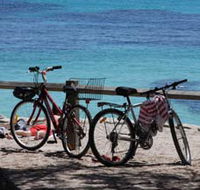 Parker Point Marine Snorkel Trail - Palm Beach Accommodation