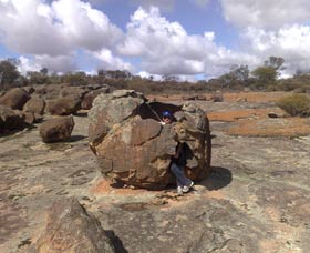 Gathercole Nature Reserve - Palm Beach Accommodation 0