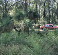 Bridgetown Jarrah Park - Palm Beach Accommodation