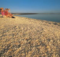 Shell Beach - Palm Beach Accommodation
