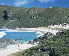 D'Entrecasteux National Park - Palm Beach Accommodation 0