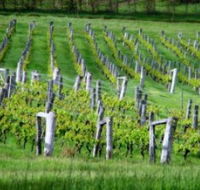 Sienna Estate Winery - Palm Beach Accommodation