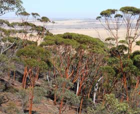 Mount Matilda Walk Trail, Wongan Hills - Palm Beach Accommodation 0