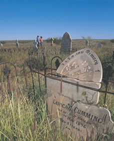 Old Town Site - Palm Beach Accommodation 0