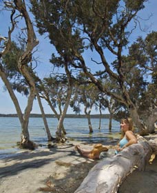 Stokes National Park - Palm Beach Accommodation 0