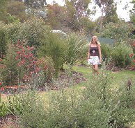 The Mythic Mazes - Palm Beach Accommodation