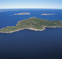 Woody Island Nature Reserve - Palm Beach Accommodation
