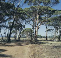 Lake Dumbleyung - Palm Beach Accommodation
