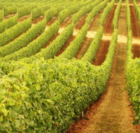 Xanadu Wines - Palm Beach Accommodation