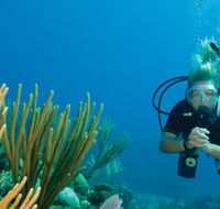 Coastal Water Dive - Palm Beach Accommodation