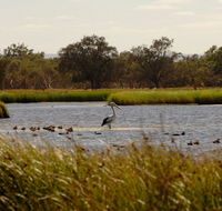 Anytime Adventures in Mandurah  the Peel Region - Palm Beach Accommodation