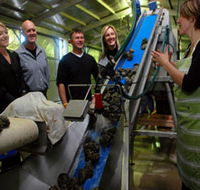 Eyre Peninsula's Seafood Trail - Palm Beach Accommodation