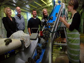 Eyre Peninsula's Seafood Trail - Palm Beach Accommodation 0