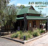 Rain Moth Gallery - Palm Beach Accommodation
