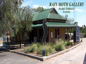 Rain Moth Gallery - Palm Beach Accommodation 0