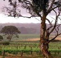 Yangarra Estate Vineyard - Palm Beach Accommodation