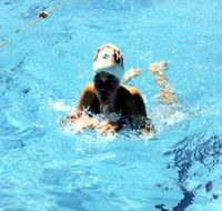 Mount Gambier Aquatic Centre - Palm Beach Accommodation