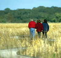 Onkaparinga River Recreation Park - Palm Beach Accommodation