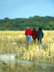 Onkaparinga River Recreation Park - Palm Beach Accommodation 0